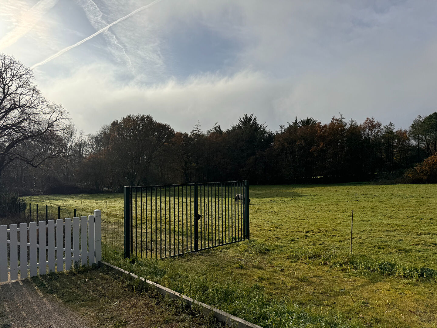 image
Terrain de loisirs à Vairé - 5583 m2 -