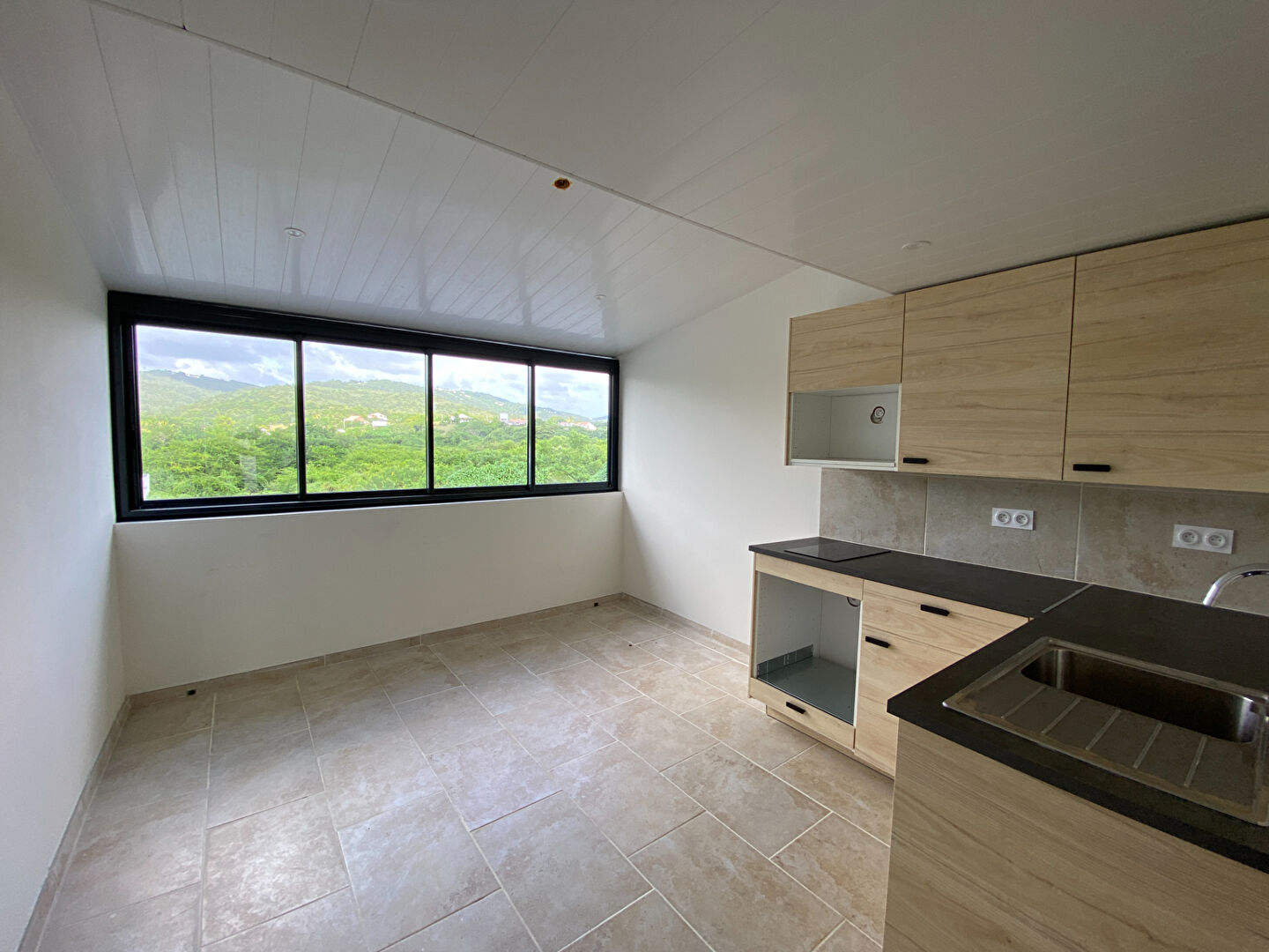 Agence immobilière de VRIGNAUD,  BIRON IMMOBILIER - Le Marin