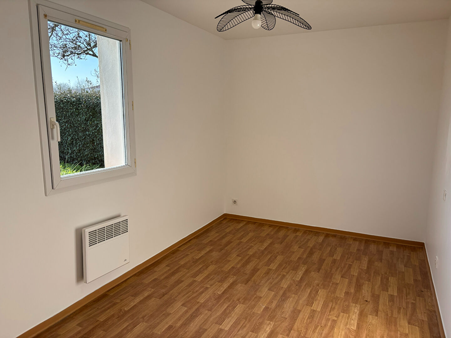 Photo challans image 6/6