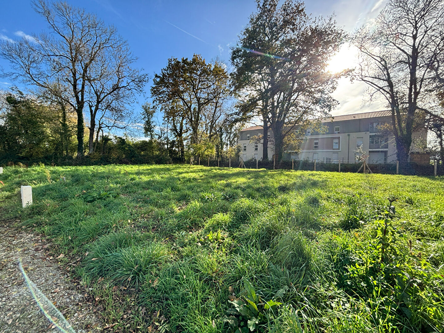 Terrain Challans 365 m2