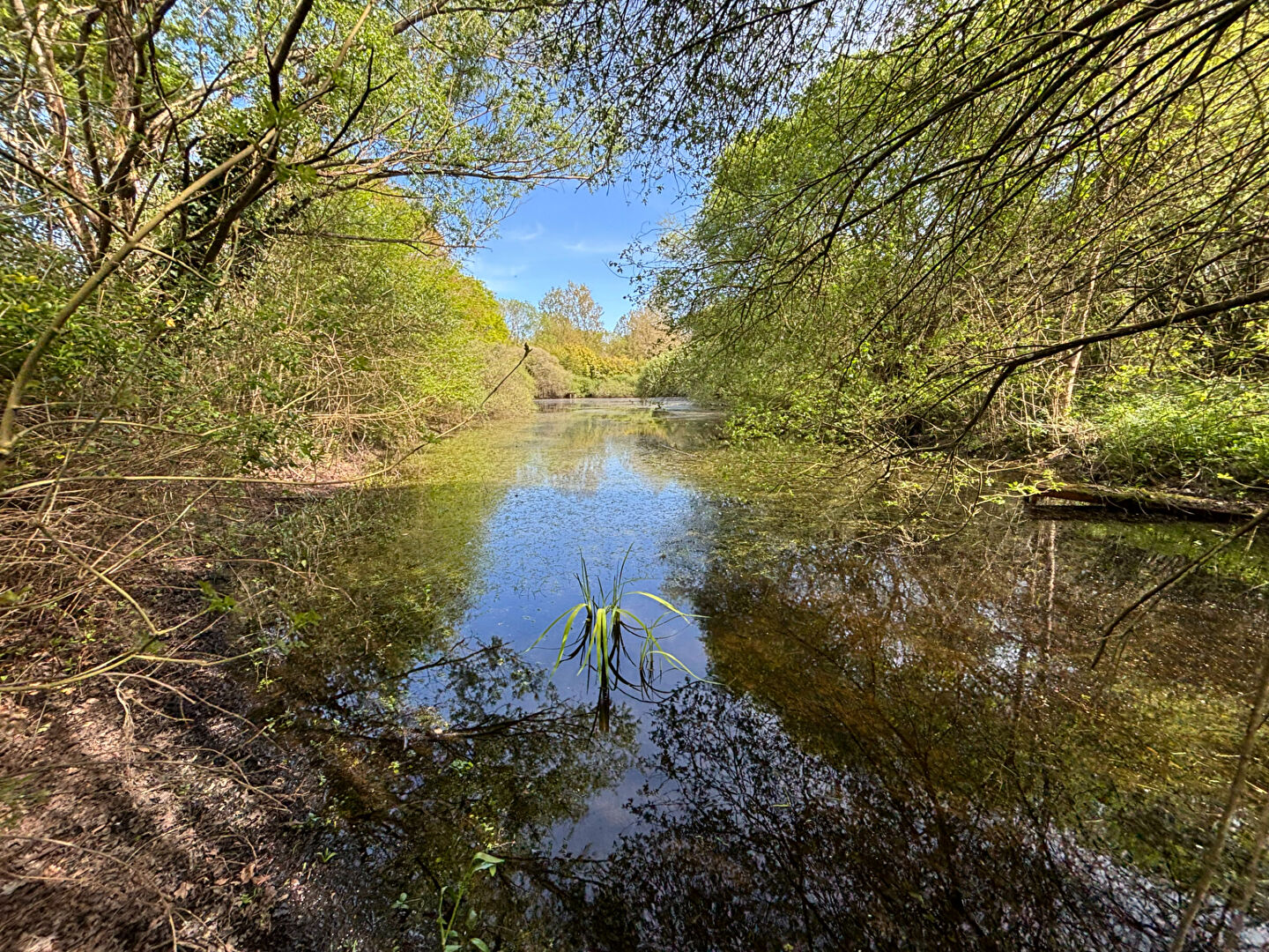 Agence immobilière de VRIGNAUD, BIRON IMMOBILIER - Challans