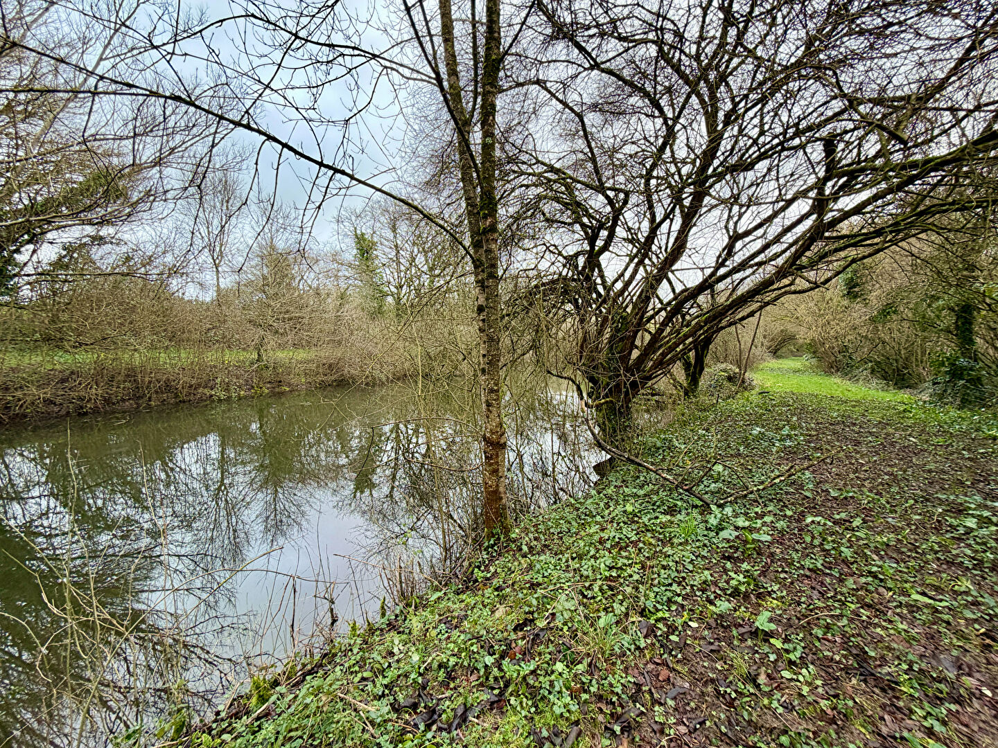 Agence immobilière de VRIGNAUD, BIRON IMMOBILIER - Challans