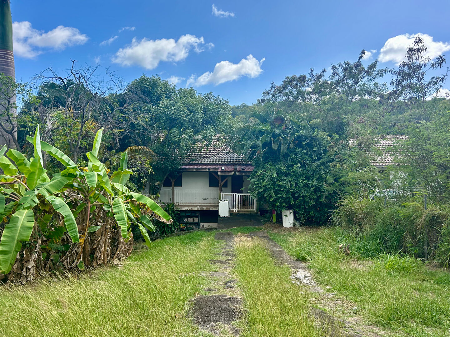 Agence immobilière de VRIGNAUD,  BIRON IMMOBILIER - Le Marin