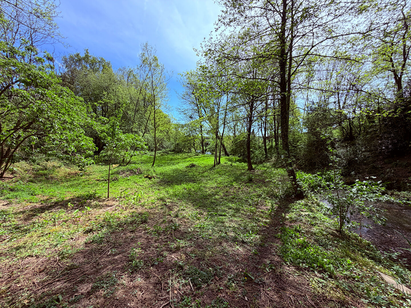 Agence immobilière de VRIGNAUD, BIRON IMMOBILIER - Challans