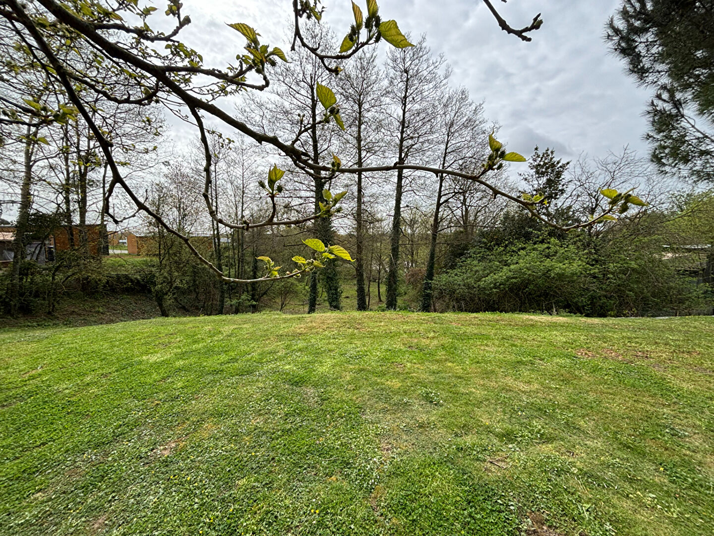 Agence immobilière de VRIGNAUD, BIRON IMMOBILIER - Challans