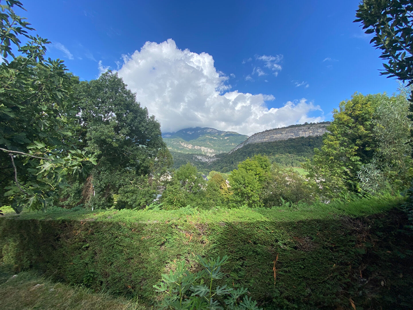 Agence immobilière de Corner Immo Chambéry