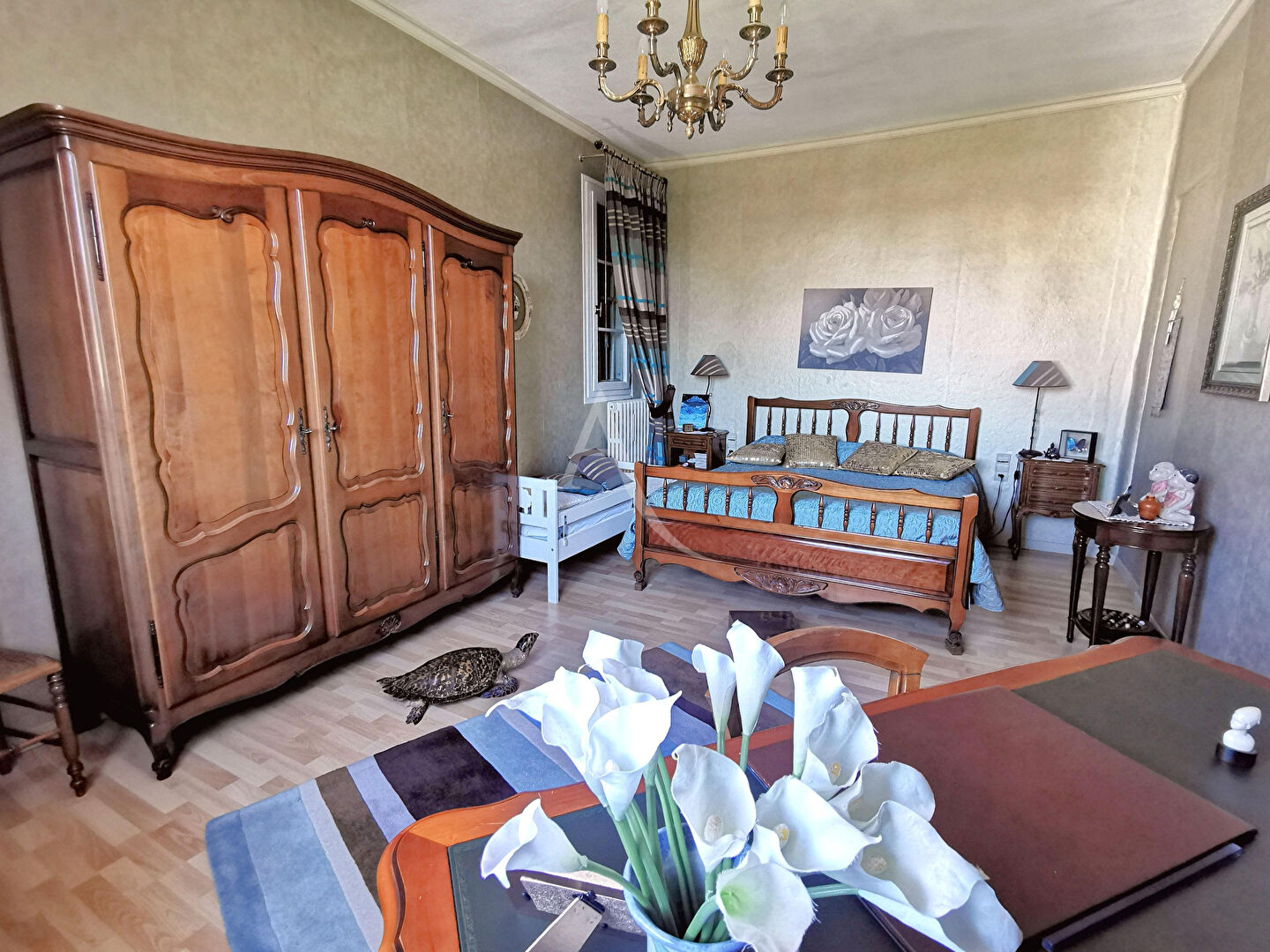 Photo MAISON 207m² Toulouse Rangueil  8 pièces 5 CH  et 1 Bureau image 6/6