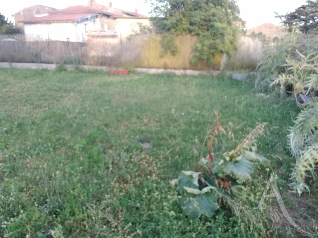 Photo Bâtiment de 60m² sur 335m² de terrain image 5/5