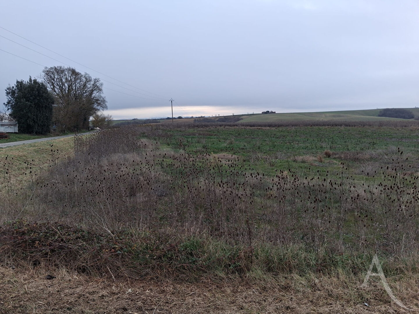 Agence immobilière de l'Adresse Toulouse - Pont des Demoiselles