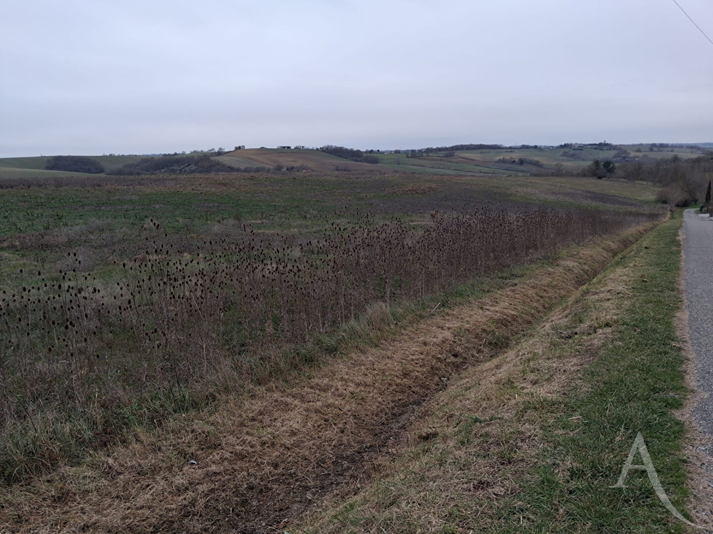 Agence immobilière de l'Adresse Toulouse - Pont des Demoiselles