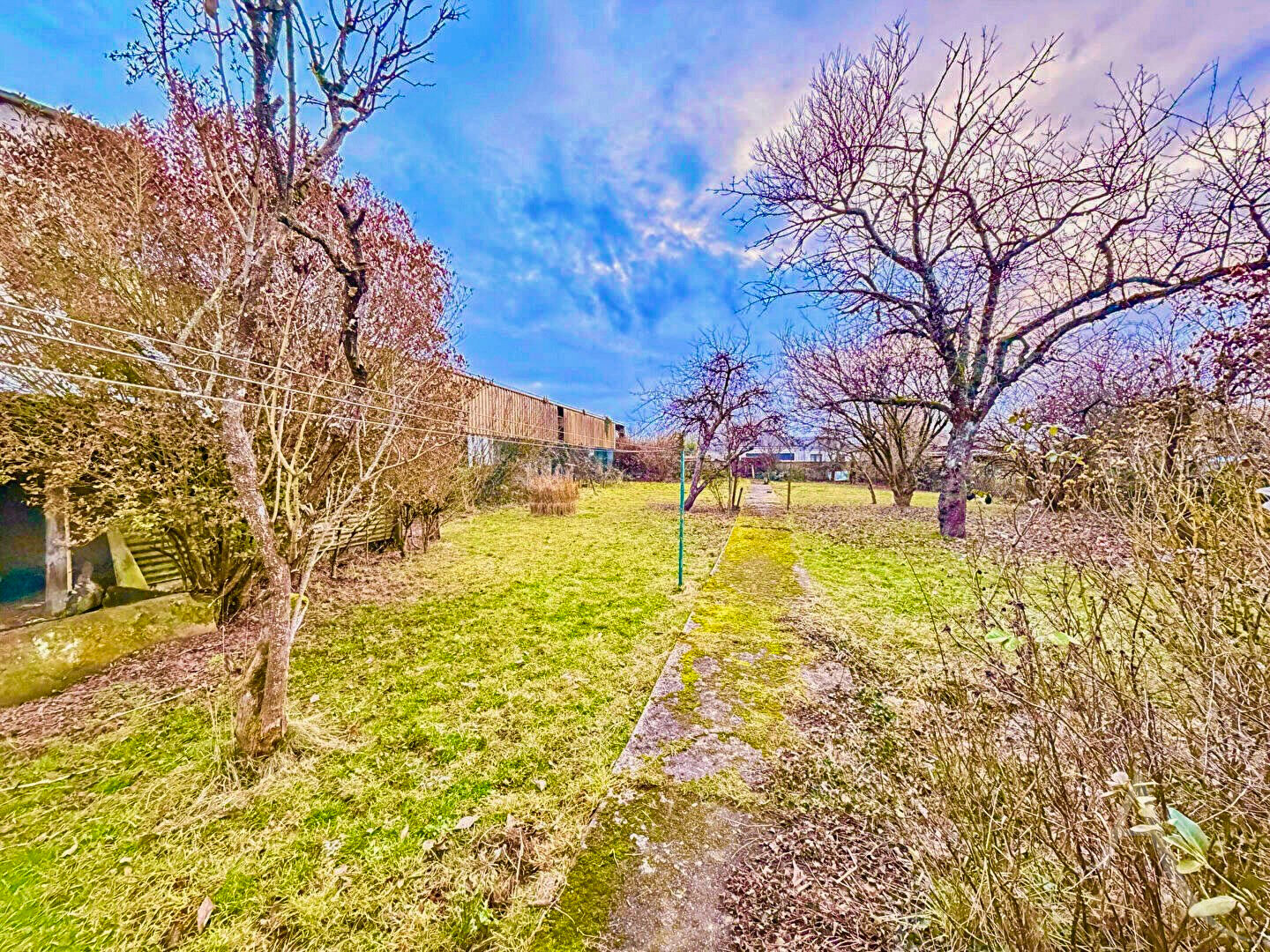 Photo Maison Bénaménil 54450 image 4/6