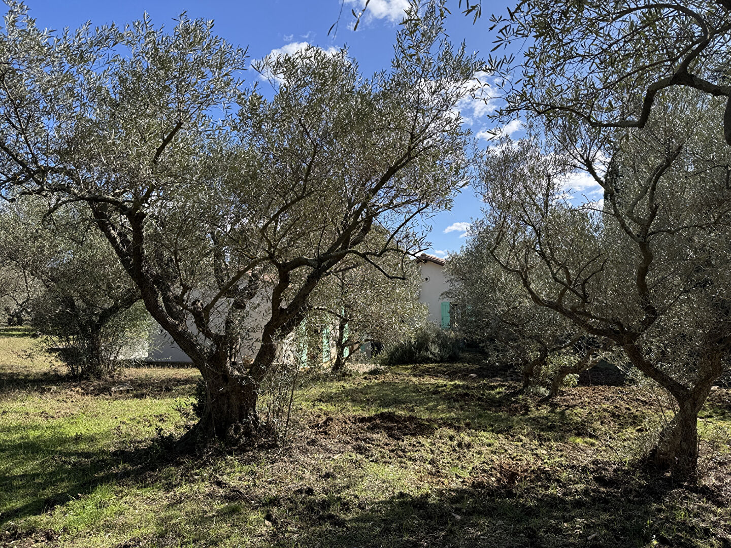 Photo Maison plus terrain constructible de 4407m² image 3/6