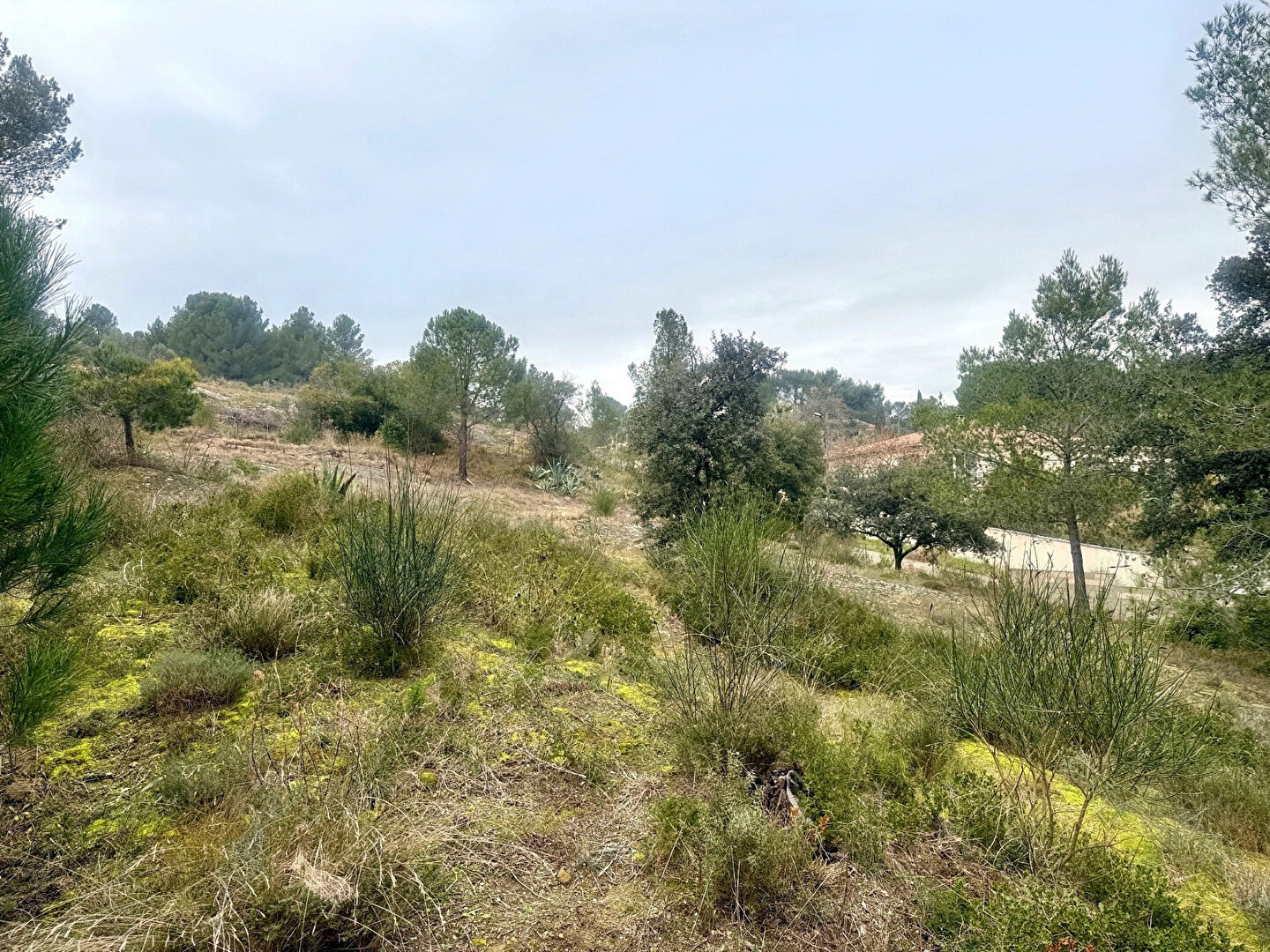 Terrain constructible Villeneuve Les Avignon 853 m2