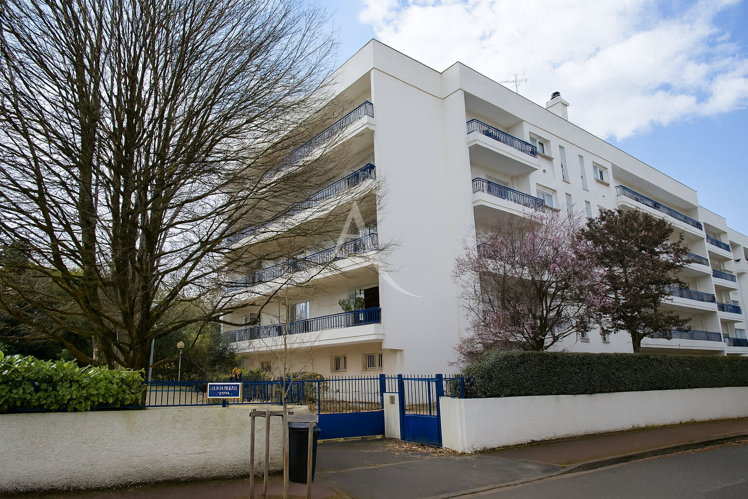 Studio rez-de-chaussée / non meublé