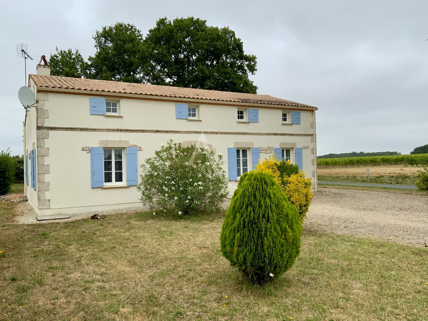 Charmante maison proche de St Genis de saintonge