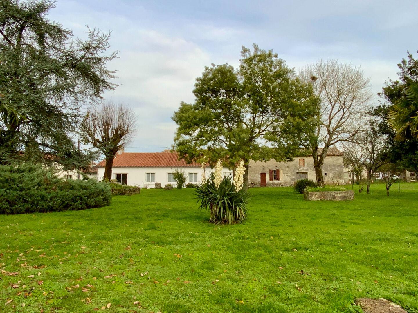 Agence immobilière de l'Adresse Jonzac