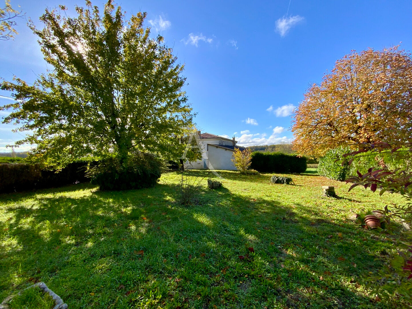 Photo Proche Jonzac image 6/6