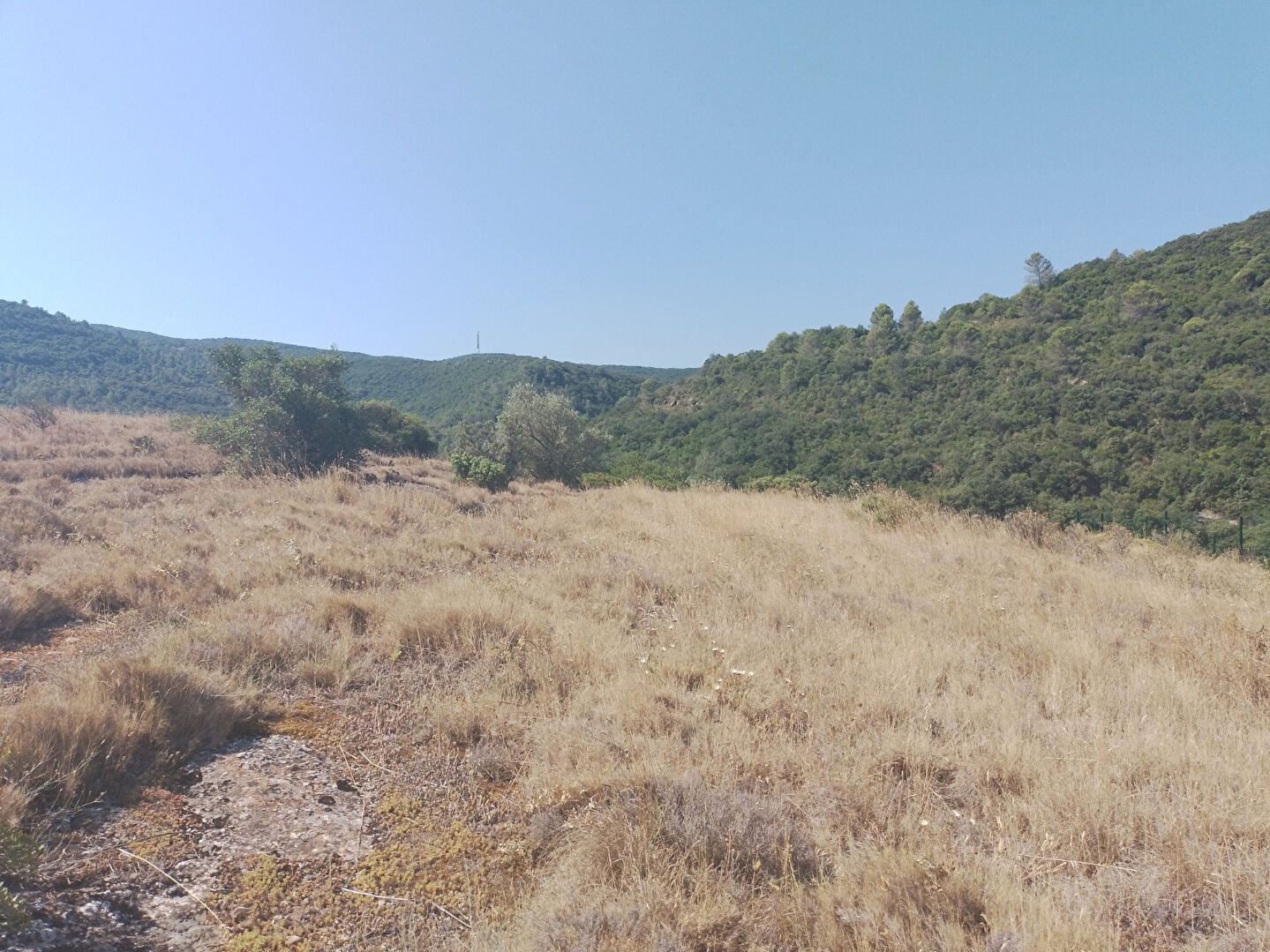 A vendre terrain constructible Saint Martin Des Puits 1141 m²