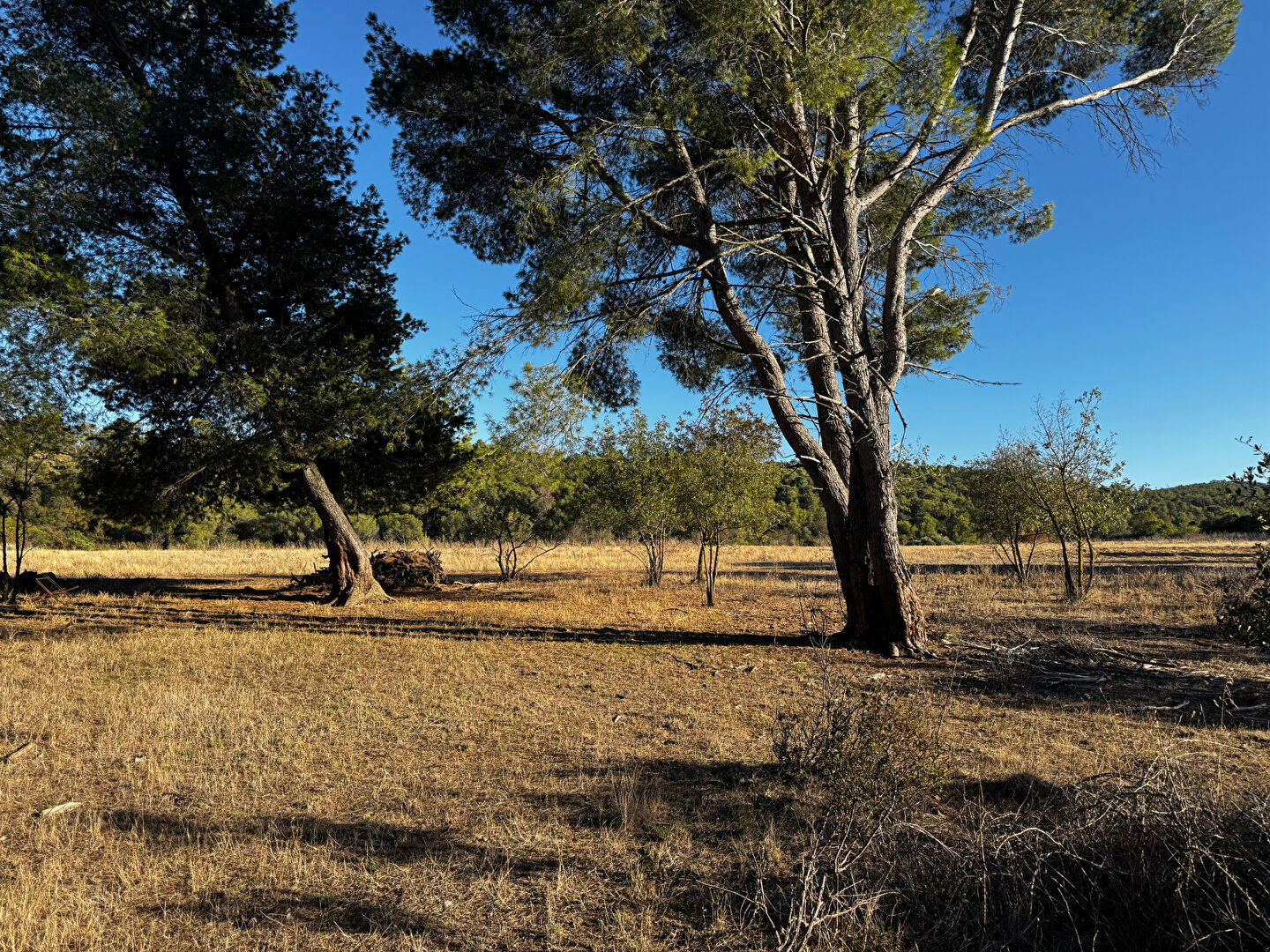 Terrain avec vue imprenable