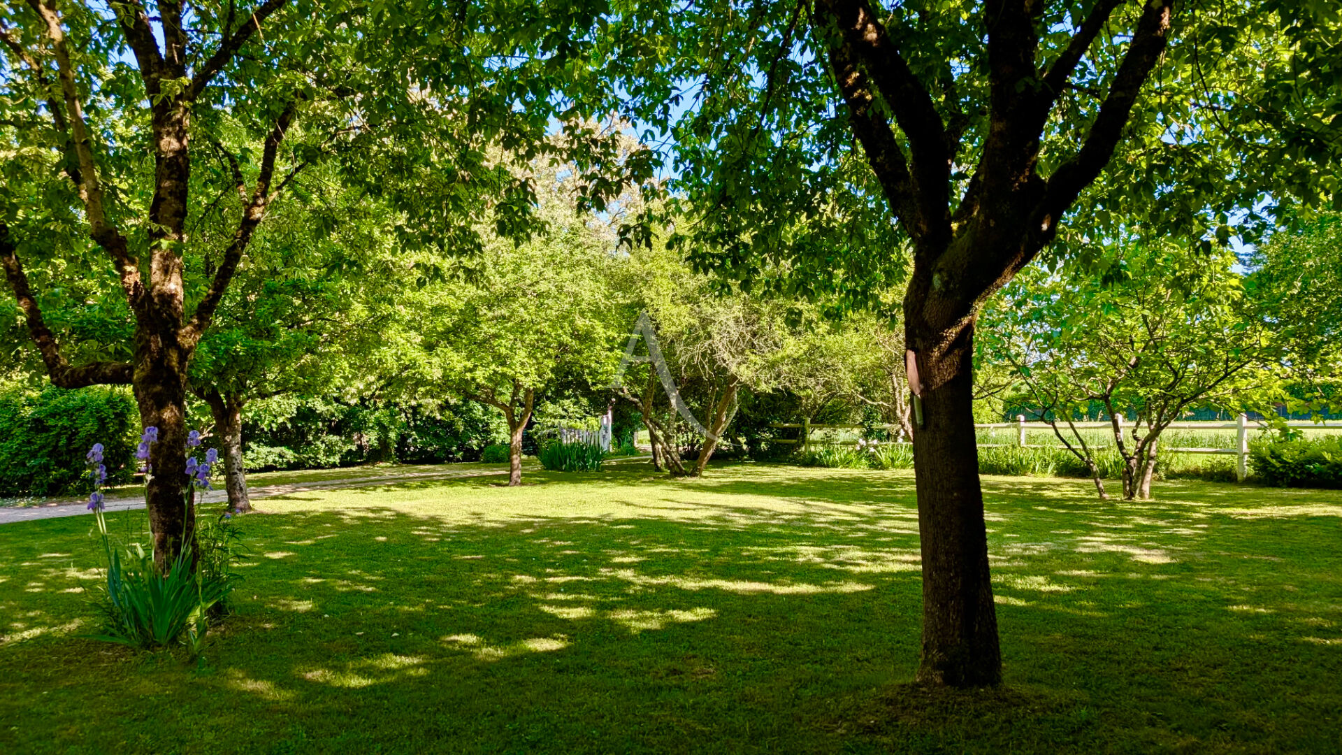 Maison Rochecorbon 6 pièce(s) 143m2