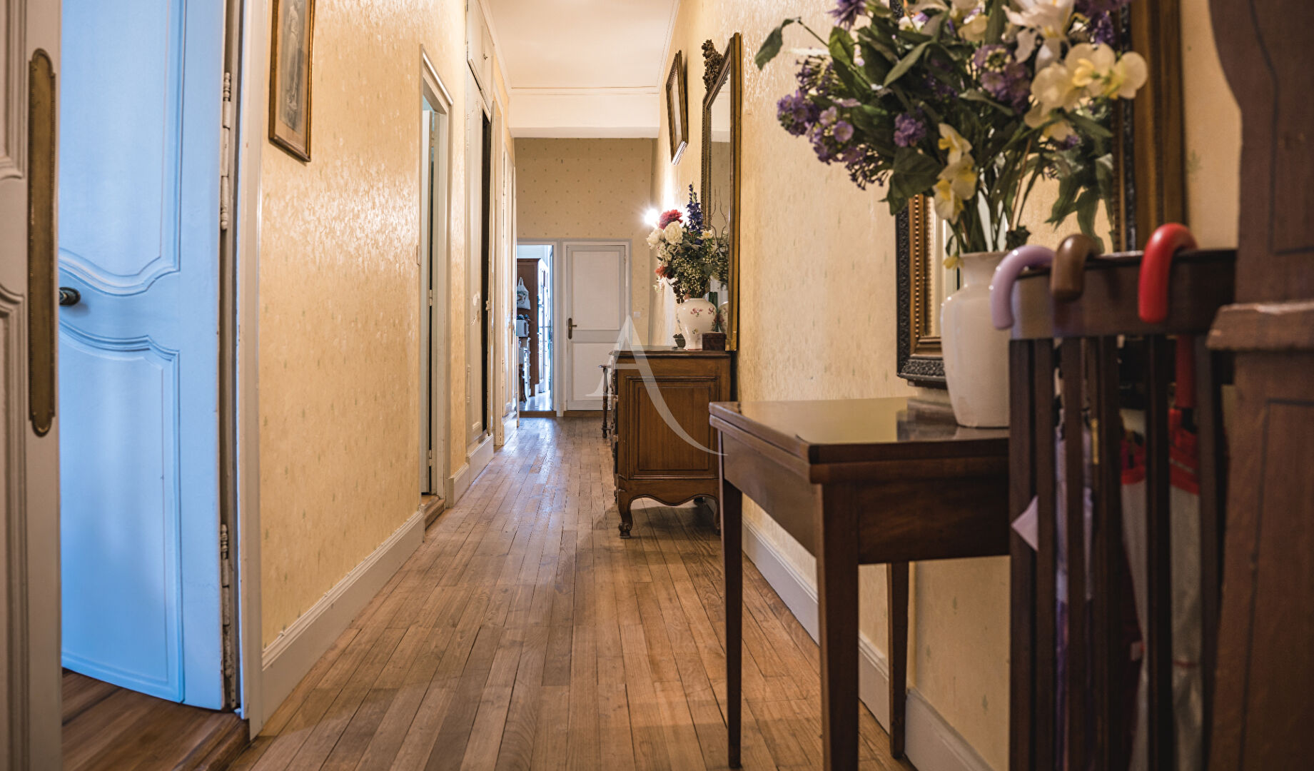 Photo Exclusivité - Rue Fleuriau appartement de charme image 4/6