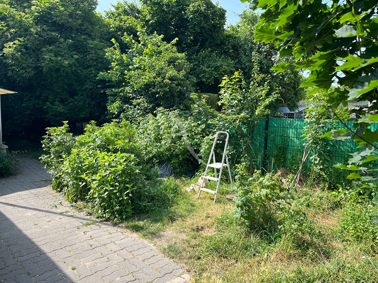 Photo CHECY  MAISON ANCIENNE SECTEUR CALME image 5/6