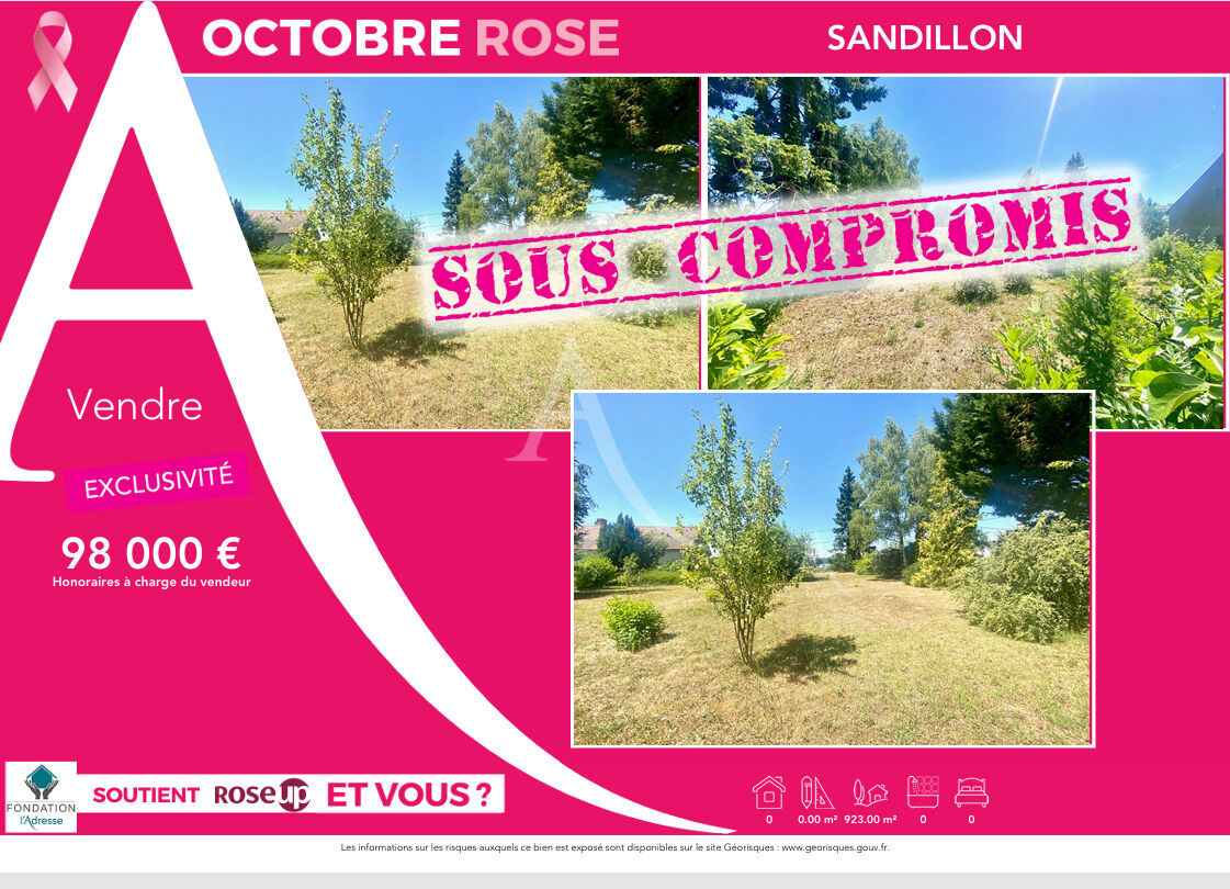 Terrain Sandillon 900 M2 environ