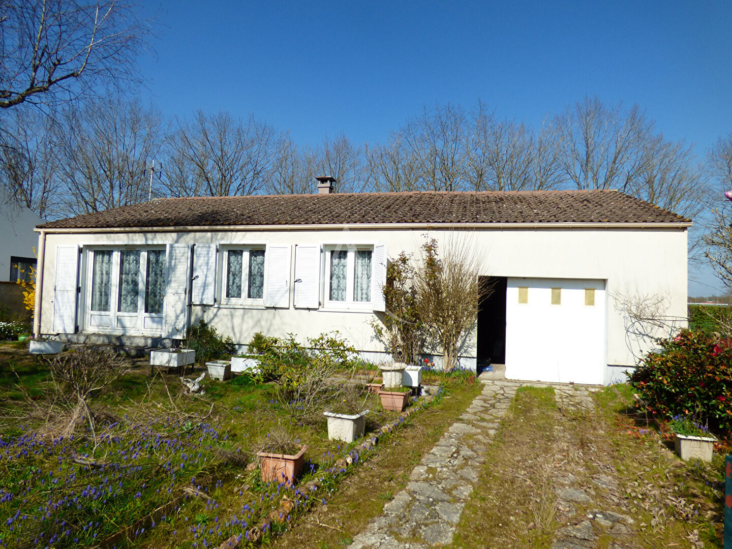 Agence immobilière de CABINET CHESNEAU - CABINET CHESNEAU - Jargeau