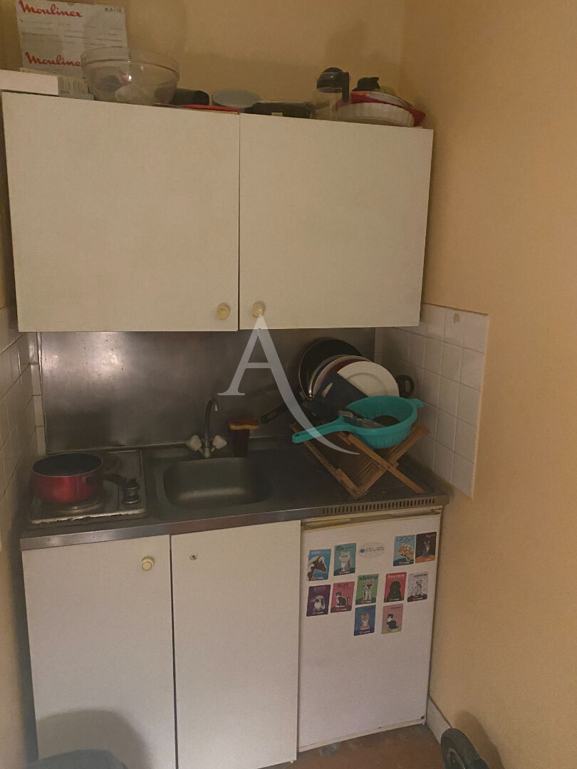 Photo EN EXCLUSIVITE  A OLIVET T1 AU BORD DU LOIRET!!! image 4/5