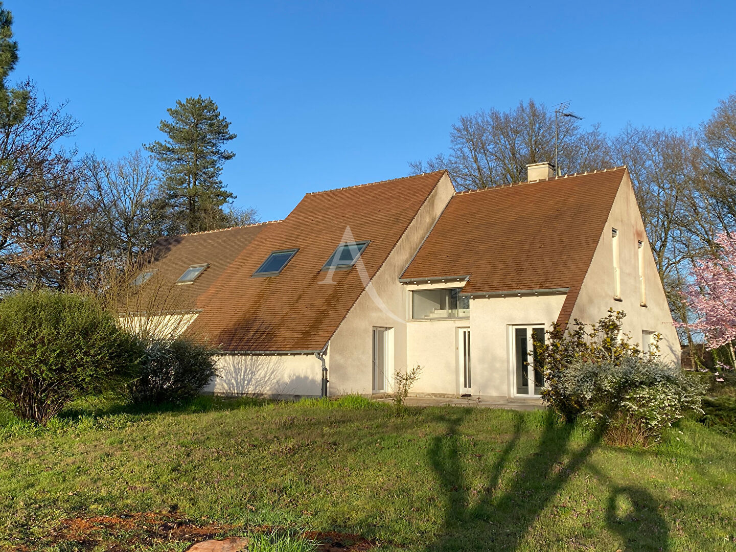 Agence immobilière de CABINET CHESNEAU - CABINET CHESNEAU - Jargeau