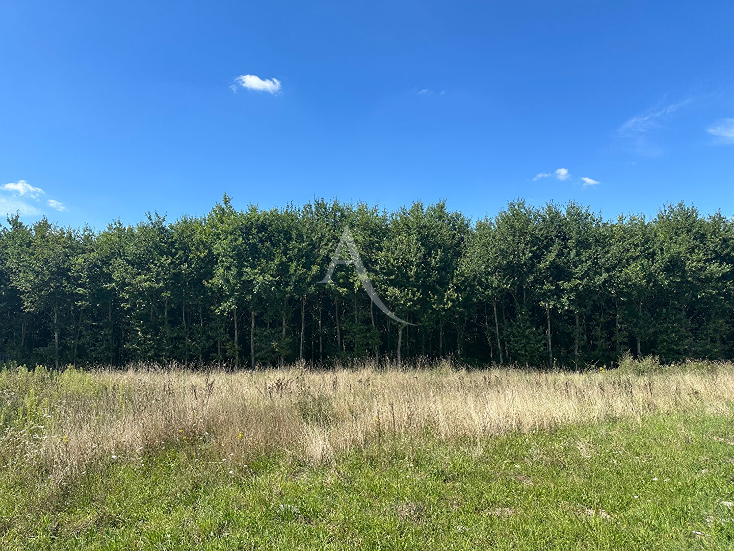 Terrain constructible à Boigny-sur-Bionne (45760)  970 m²