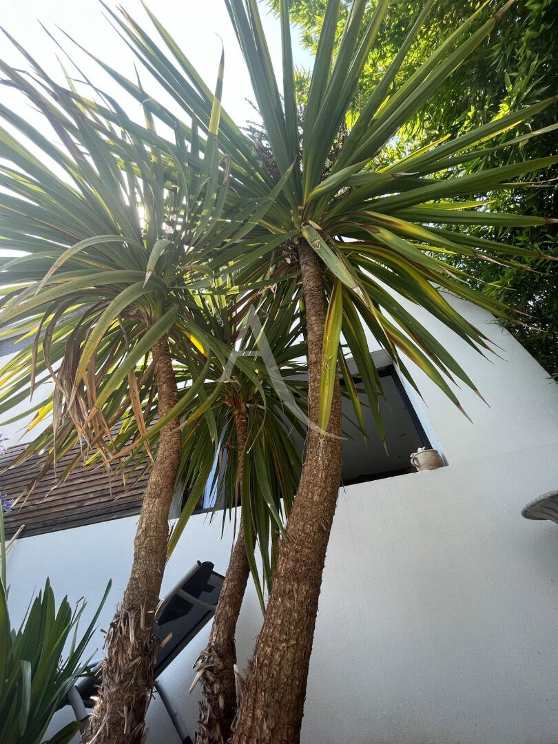 Photo Fetilly - Maison chaleureuse image 6/6