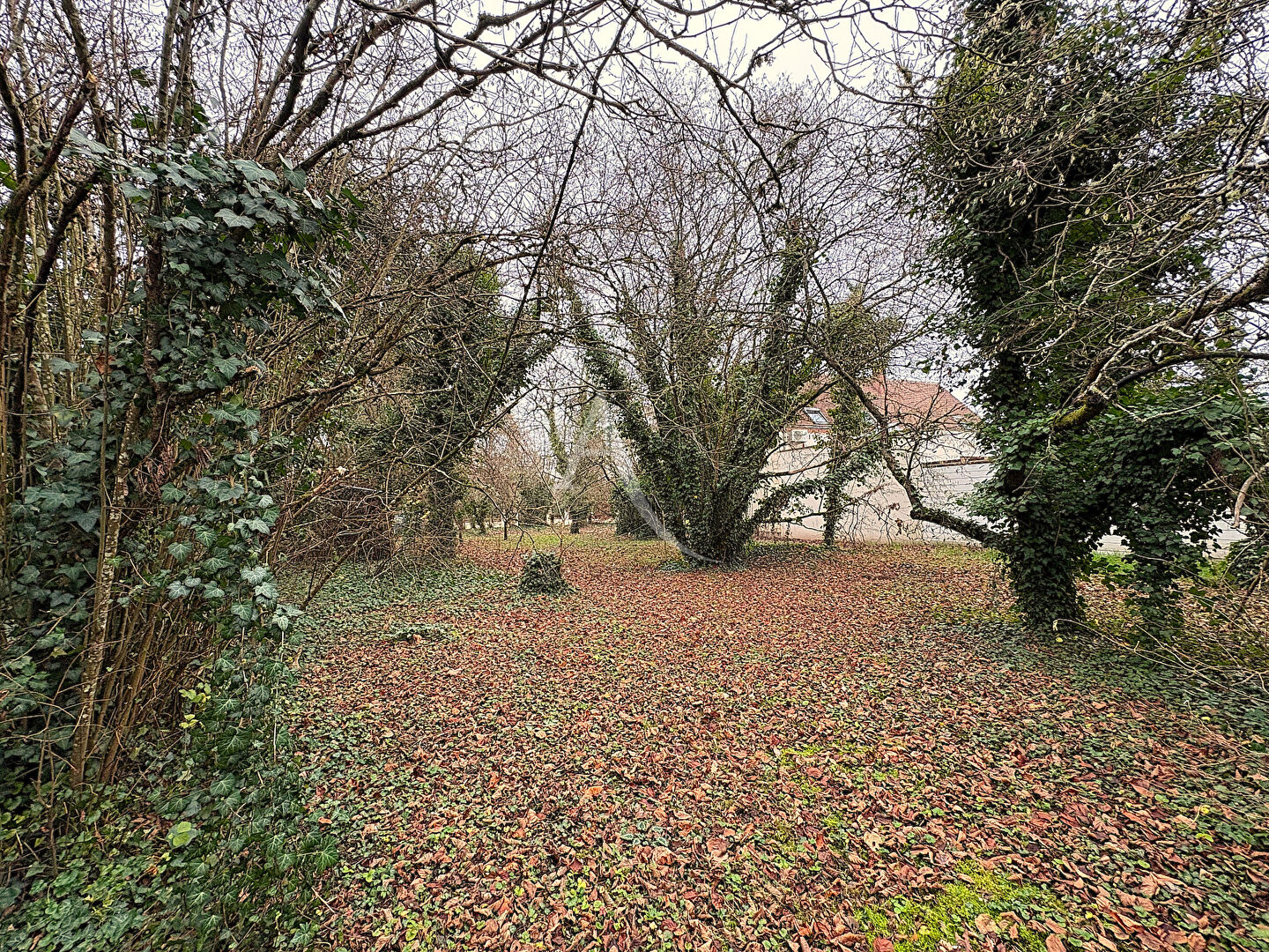 Photo Terrain Donnery 1919 m2 image 1/3