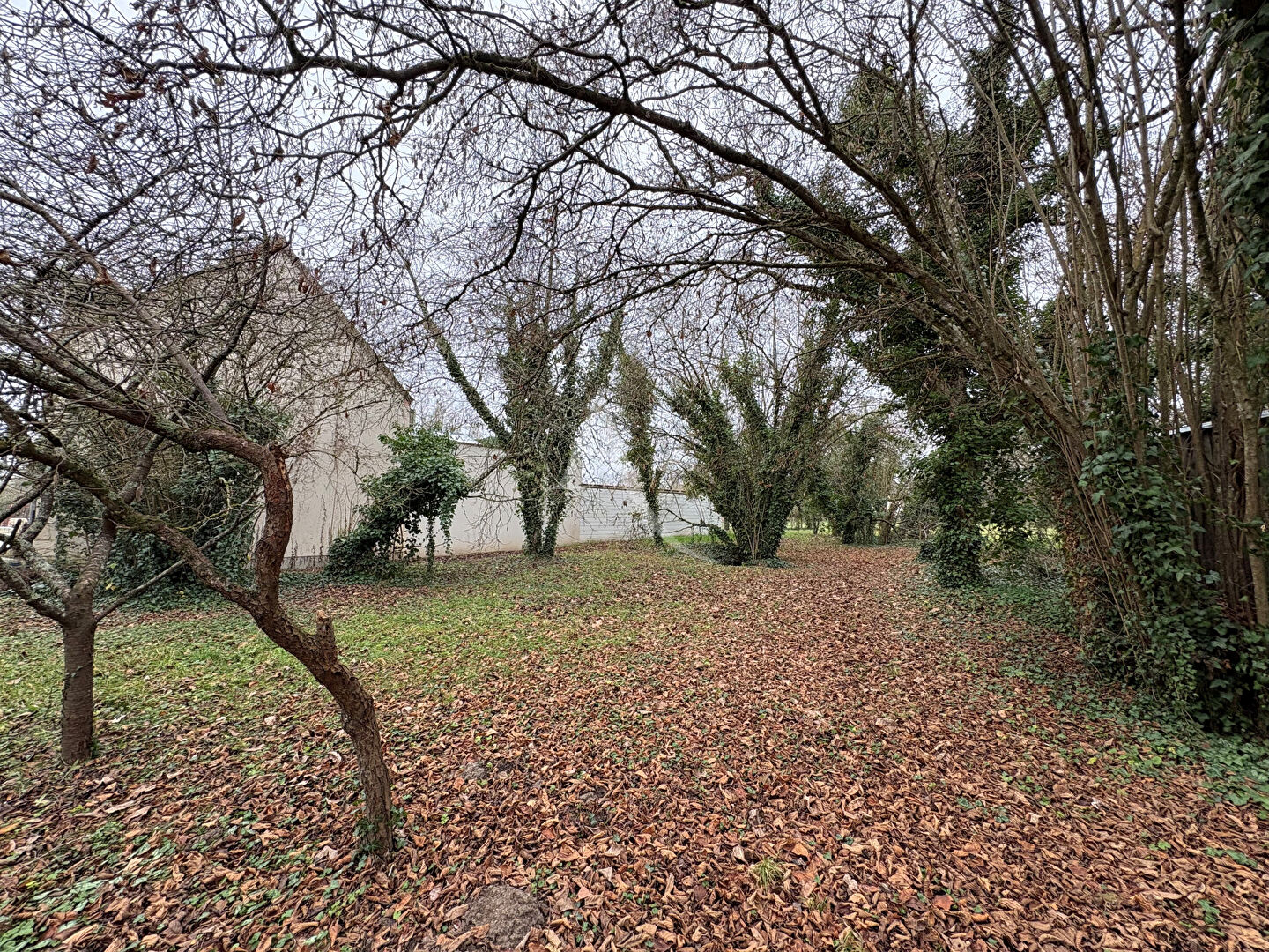 Photo Terrain Donnery 1919 m2 image 2/3