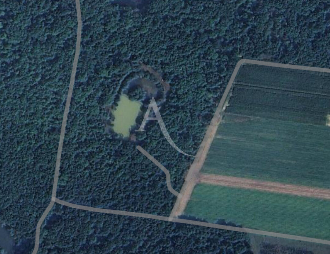 Terrain de loisir avec étang  à Donnery