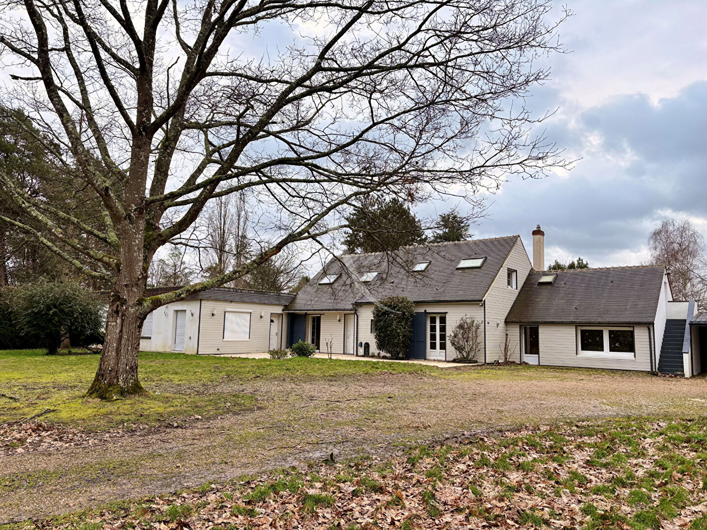 Agence immobilière de CABINET CHESNEAU - CABINET CHESNEAU - Fay aux Loges