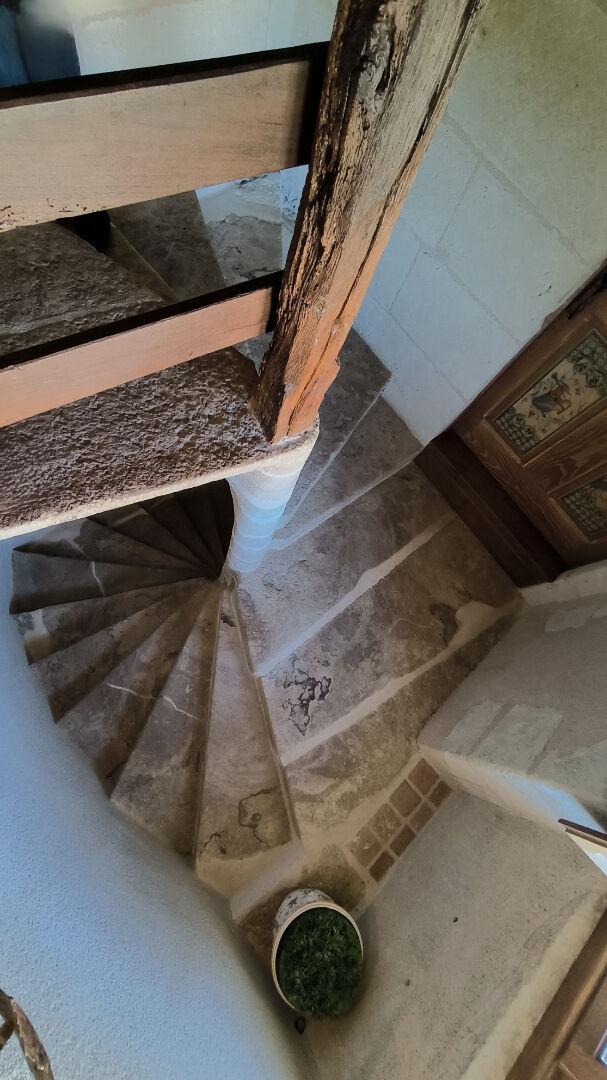 Photo Maison ARGENTON L'EGLISE 5 pièce(s) 225 m2 image 5/6