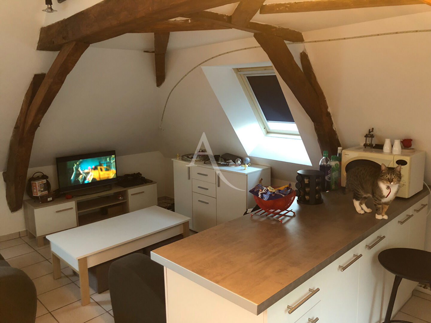 Agence immobilière de L'ADRESSE 49 - L'ADRESSE DE TIERCE