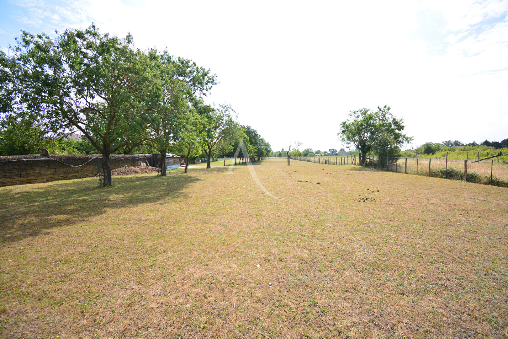 Photo Terrain Doue la Fontaine image 3/3