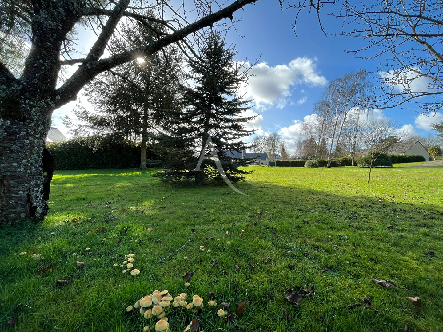 Photo Terrain Mayenne 1047 m2 image 3/4