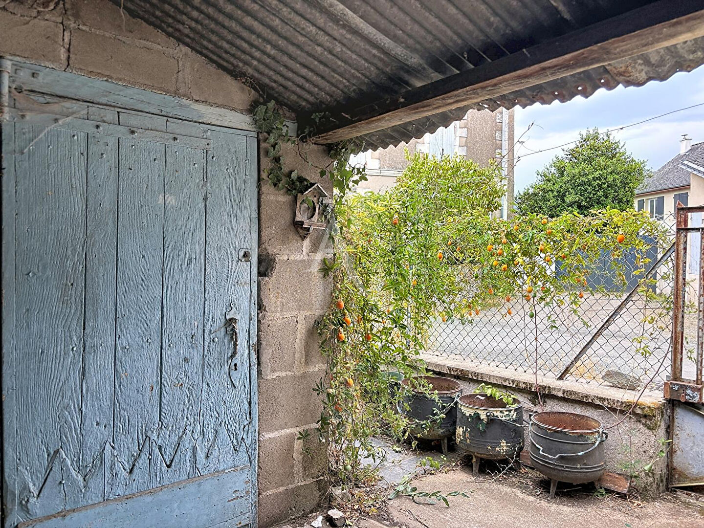 Agence immobilière de 
 L'ADRESSE 49 - L'ADRESSE CHALONNES SUR LOIRE 
