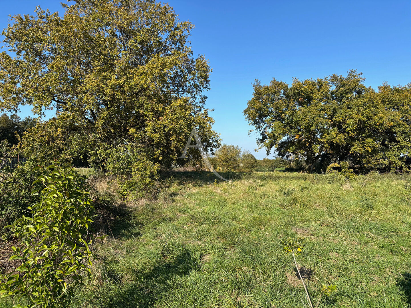 Terrain a bâtir viabilisé bourg de Ligné