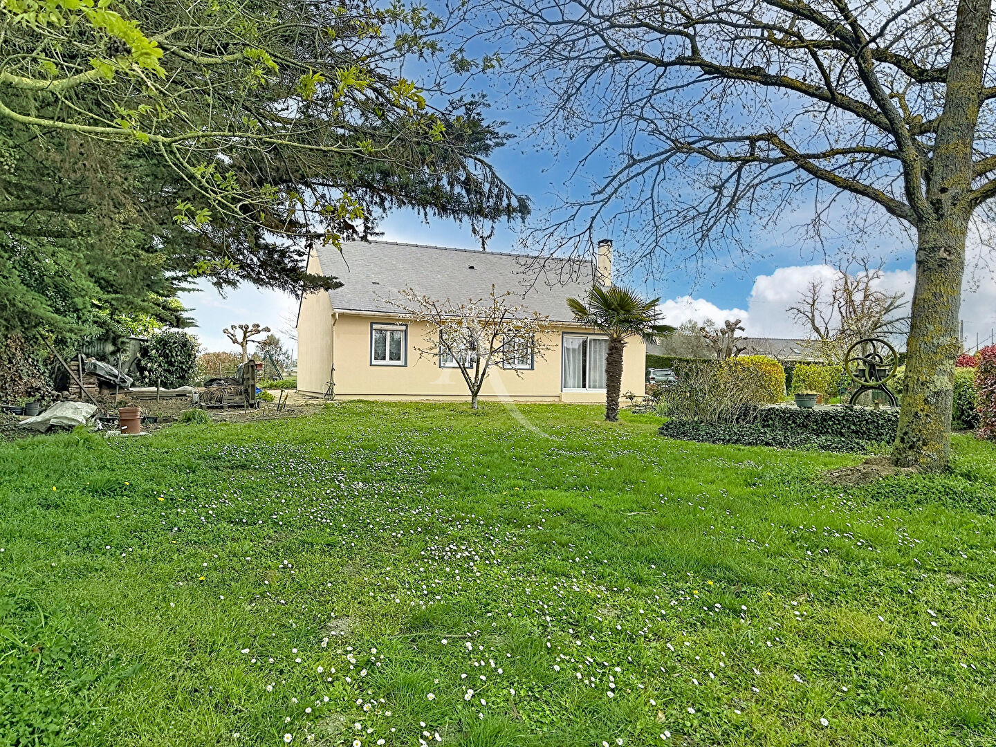 Agence immobilière de L'ADRESSE 49 - L'ADRESSE DE TRELAZE