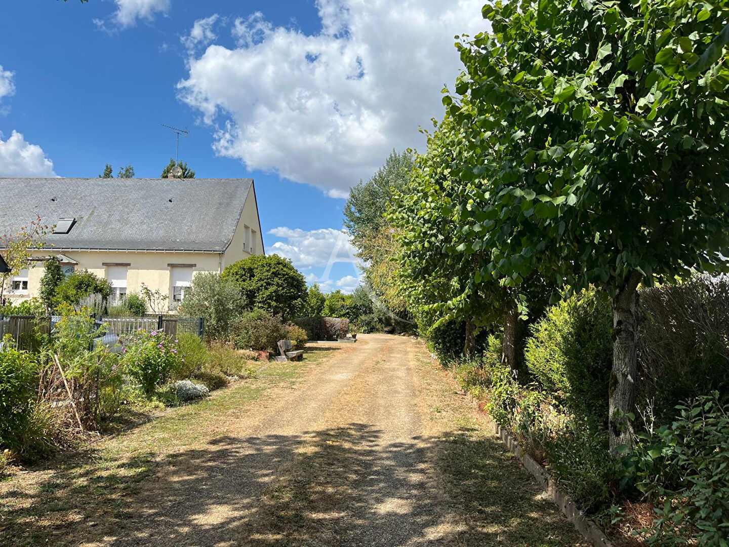 Agence immobilière de L'ADRESSE 49 - L'ADRESSE DE SAINT-BARTHELEMY