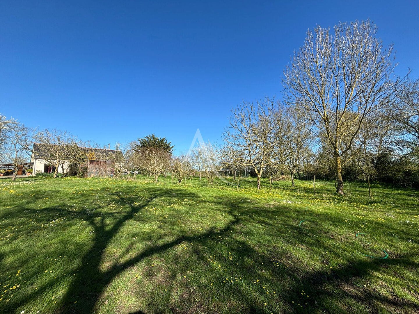 Agence immobilière de 
 L'ADRESSE 49 - L'ADRESSE CHALONNES SUR LOIRE 

