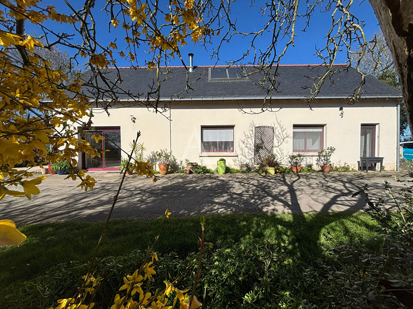 Agence immobilière de 
 L'ADRESSE 49 - L'ADRESSE CHALONNES SUR LOIRE 
