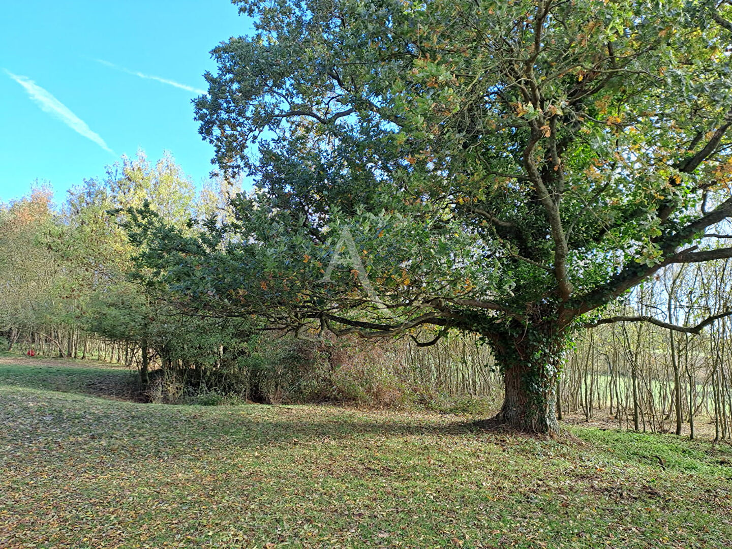 Longère authentique et écologique à Chalonnes-sur-Loire