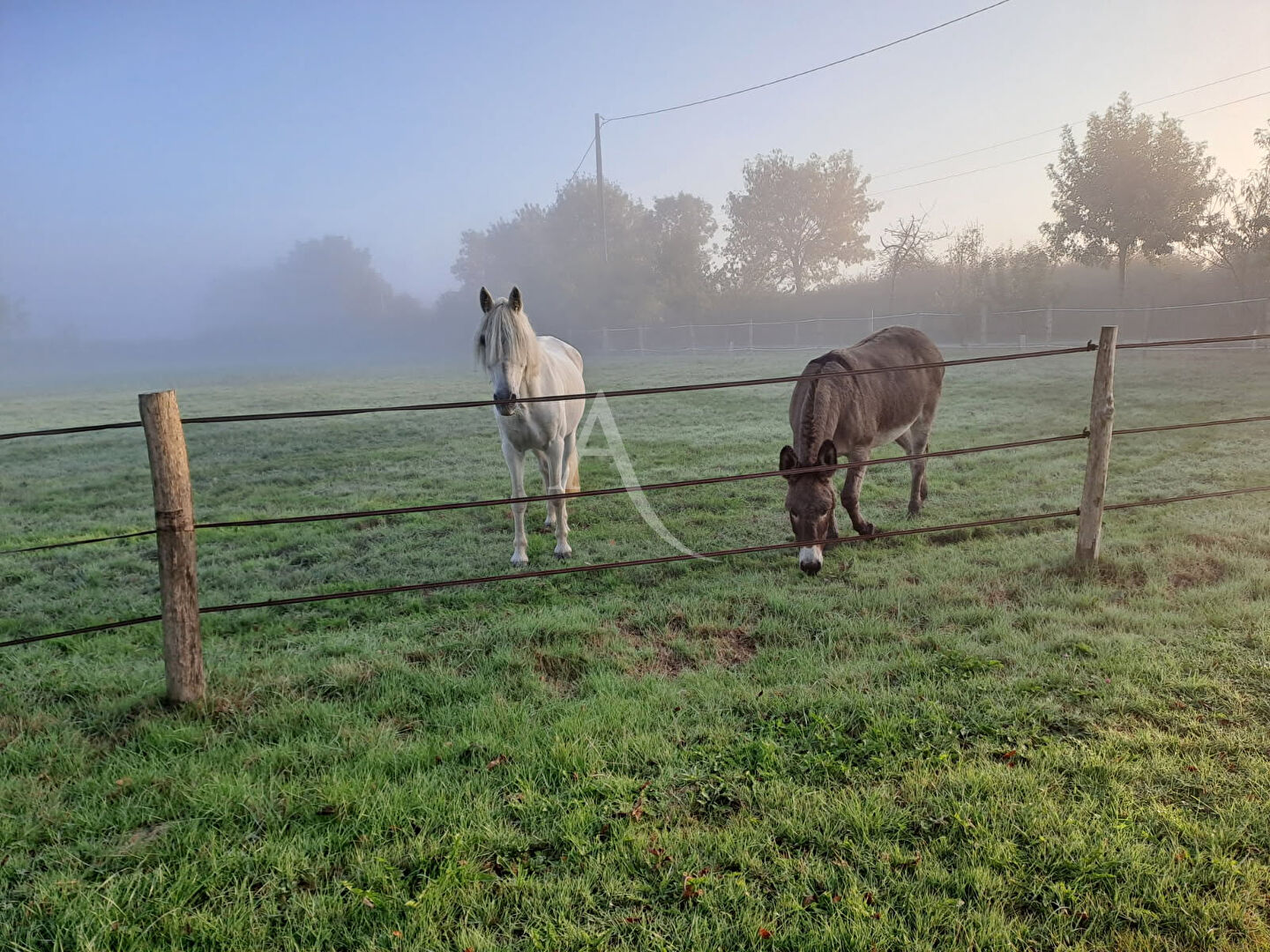 Photo Longère authentique et écologique à Chalonnes-sur-Loire image 2/6