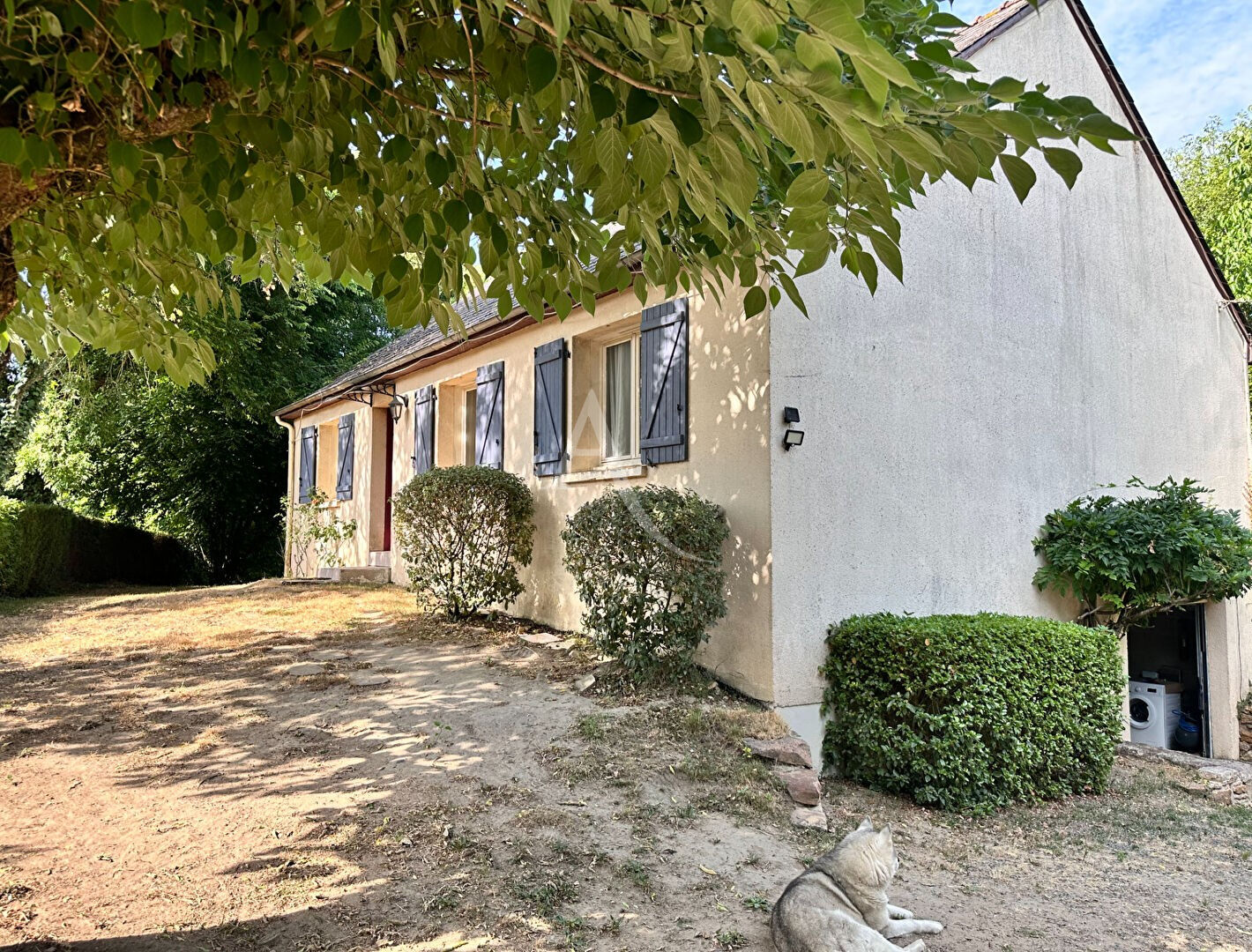 Agence immobilière de L'ADRESSE 49 - L'ADRESSE DE TIERCE