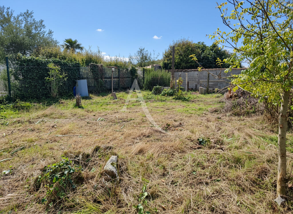 Photo Terrain Salles Sur Mer 226 m2 image 3/3